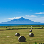 Thumbnail of post image 094