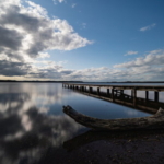 Thumbnail of post image 186